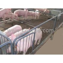 2019年畜牧業(yè)養(yǎng)殖產(chǎn)業(yè)鏈 廠商、批發(fā)、報(bào)價(jià)與飼料銷售全景洞察