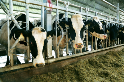 國潮崛起 畜牧漁業(yè)飼料銷售的新風口與品牌機遇